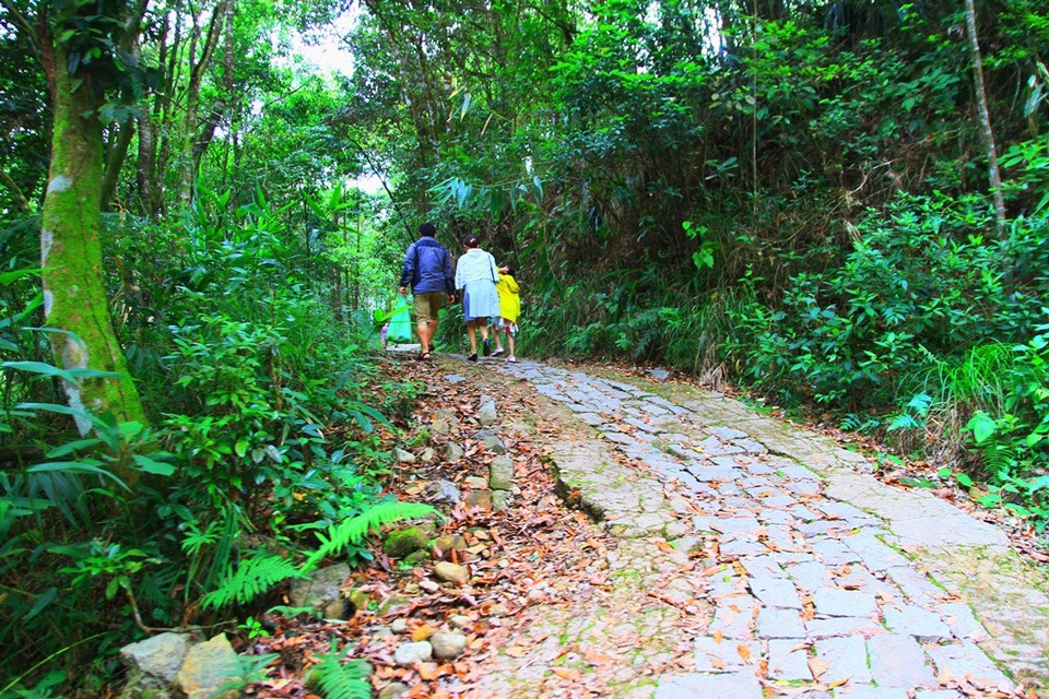 Khám phá Bạch Mã: Khu nghỉ dưỡng siêu đẹp bị lãng quên - 35 Tuyến đường dẫn lên Vọng Hải Đài, nơi cao nhất Bạch Mã