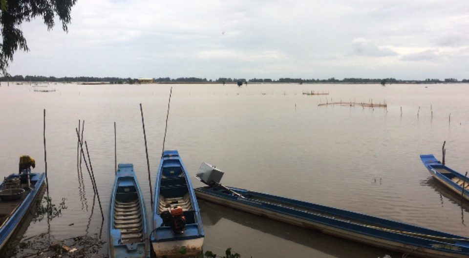Lũ miền Tây như bức tranh “mặt khóc, mặt cười” - 7
Các cánh đồng ngoài đê bao đã phủ một màu nước trắng xóa thế này