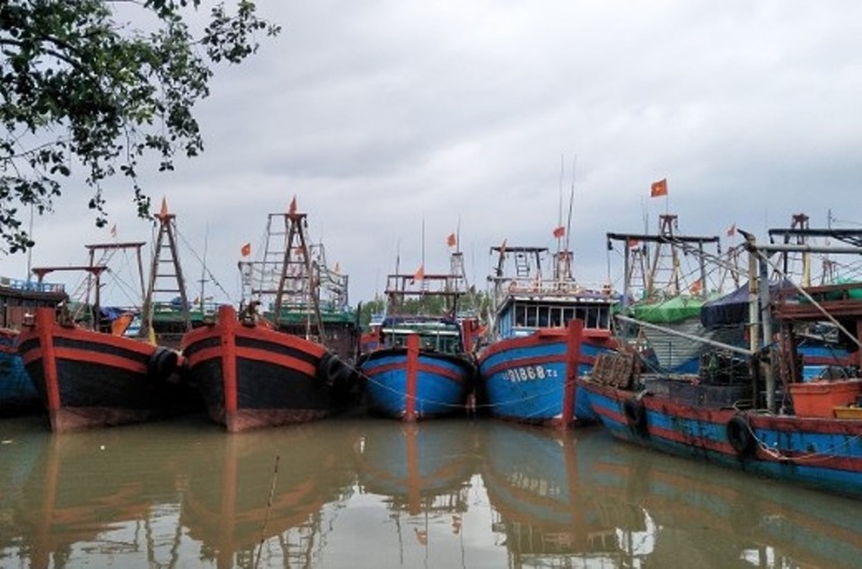 Các tỉnh thành huy động tổng lực chống bão, Bạch Long Vỹ đã có gió lớn - 3 Tàu thuyền vào nơi tránh trú bão an toàn