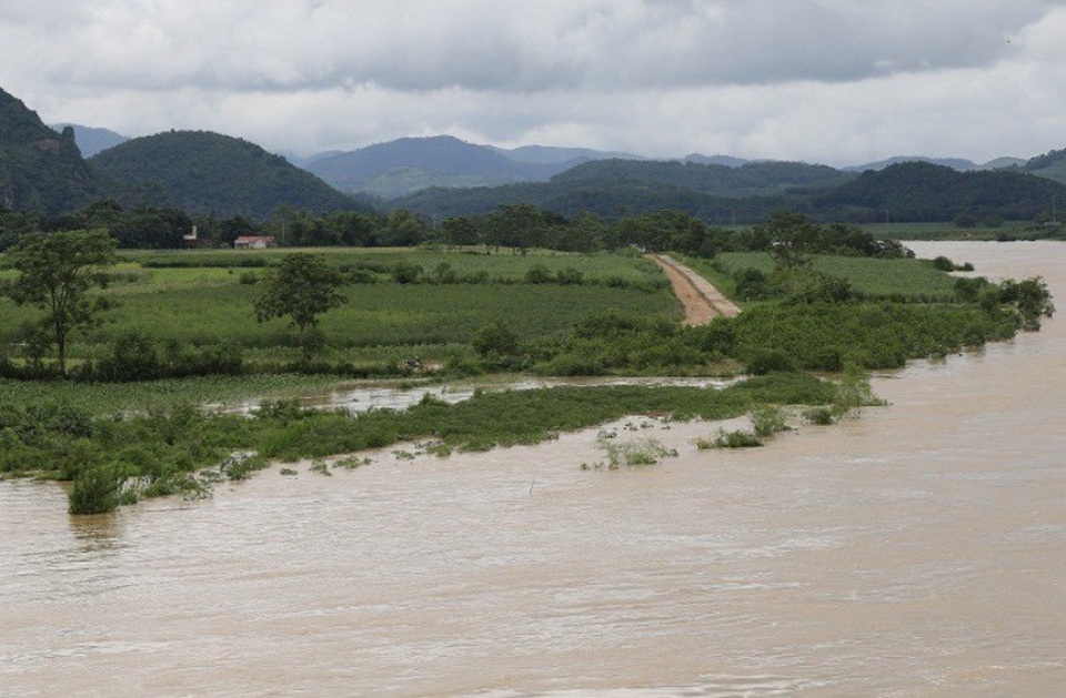 Mưa lớn gây chia cắt nhiều nơi ở Thanh Hóa, gần 900 hộ dân phải sơ tán - 6 Nhiều diện tích cây trồng của huyện Thường Xuân bị ngập