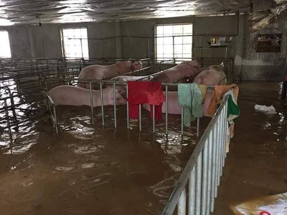 Mưa lớn, quốc lộ 48 ngập lụt nghiêm trọng - 4 Mưa lớn, quốc lộ 48 ngập lụt nghiêm trọng - 4
