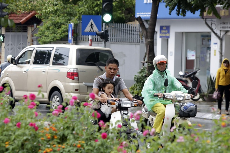 "Con đường hoa hồng" đầu tiên ở Hà Nội - 15 "Con đường hoa hồng" đầu tiên ở Hà Nội - 15