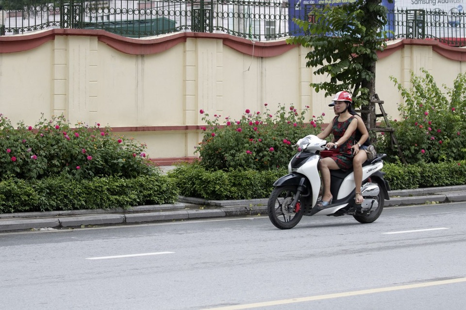 "Con đường hoa hồng" đầu tiên ở Hà Nội - 6 "Con đường hoa hồng" đầu tiên ở Hà Nội - 6