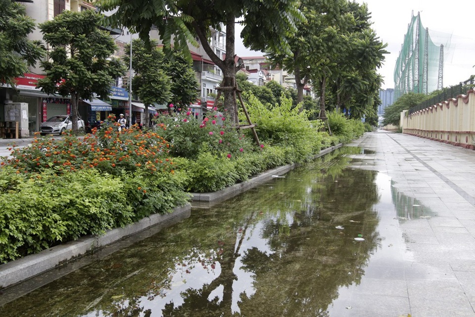 "Con đường hoa hồng" đầu tiên ở Hà Nội - 5 Đây là con đường với nhiều cây xanh được trồng mới, trong đó có rất nhiều loại cây hoa được trồng ven đường.