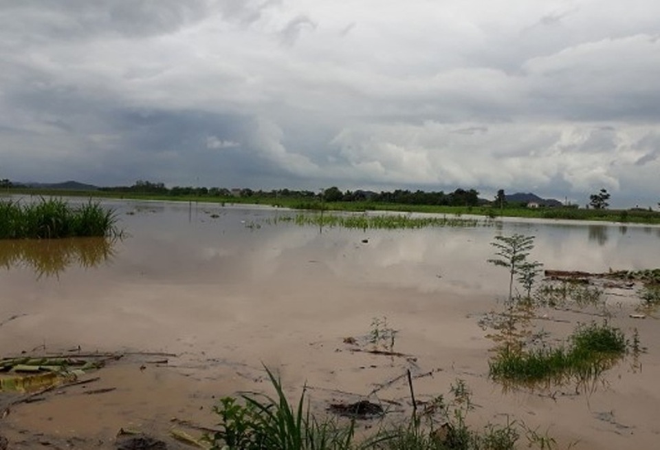 Mưa lớn gây chia cắt nhiều nơi ở Thanh Hóa, gần 900 hộ dân phải sơ tán - 4 Nhiều vùng tại huyện Vĩnh Lộc cũng đã chìm sâu trong nước lũ