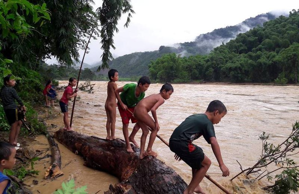 Liều mình lao ra dòng lũ vớt củi, đánh cá - 1 Dọc hai bên sông Lò đoạn qua địa phận các xã Sơn Điện, Mường Mìn, Tam Lư, nhiều người dân trong đó có cả trẻ em tập trung vớt củi mang lên bờ.