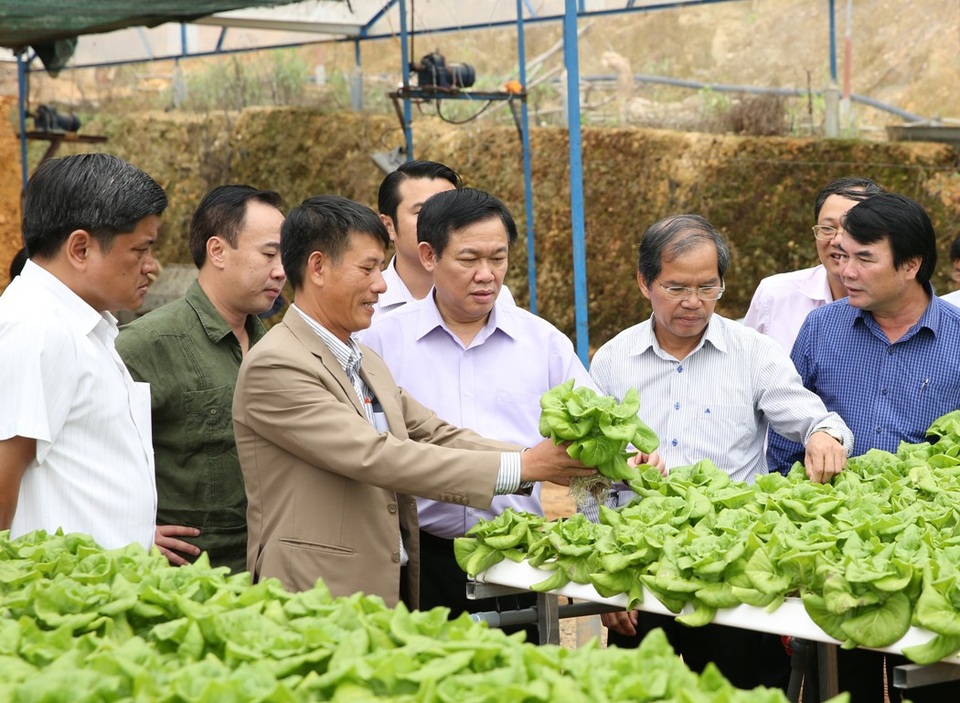 Sản xuất nông nghiệp Việt Nam lớn nhưng rất bấp bênh - 2 Phó Thủ tướng thăm mô hình trồng rau sạch của một HTX tại Đà Lạt