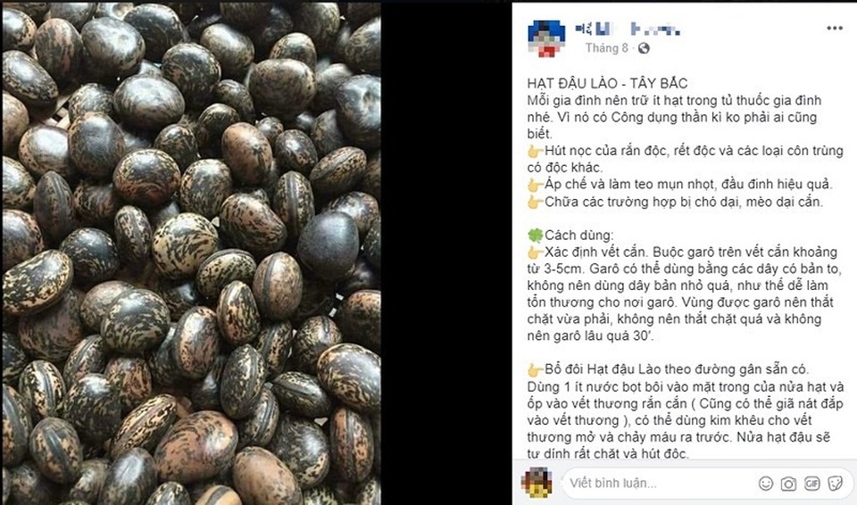 Thực hư hạt đậu lào 'thần thánh' hút nọc rắn, trị chó dại cắn - 1 Hạt đậu lào được quảng bá với rất nhiều công dụng, trong đó chữa rắn cắn , mèo chó dại cắn. Ảnh: HL
