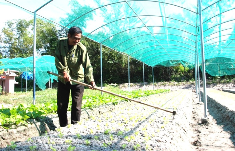 Quảng Nam - Nhật Bản: Tình hữu nghị 15 năm bền chặt, sắt son - 3 Hỗ trợ làng rau sạch Hưng Mỹ (xã Bình Triều, Thăng Bình, Quảng Nam)