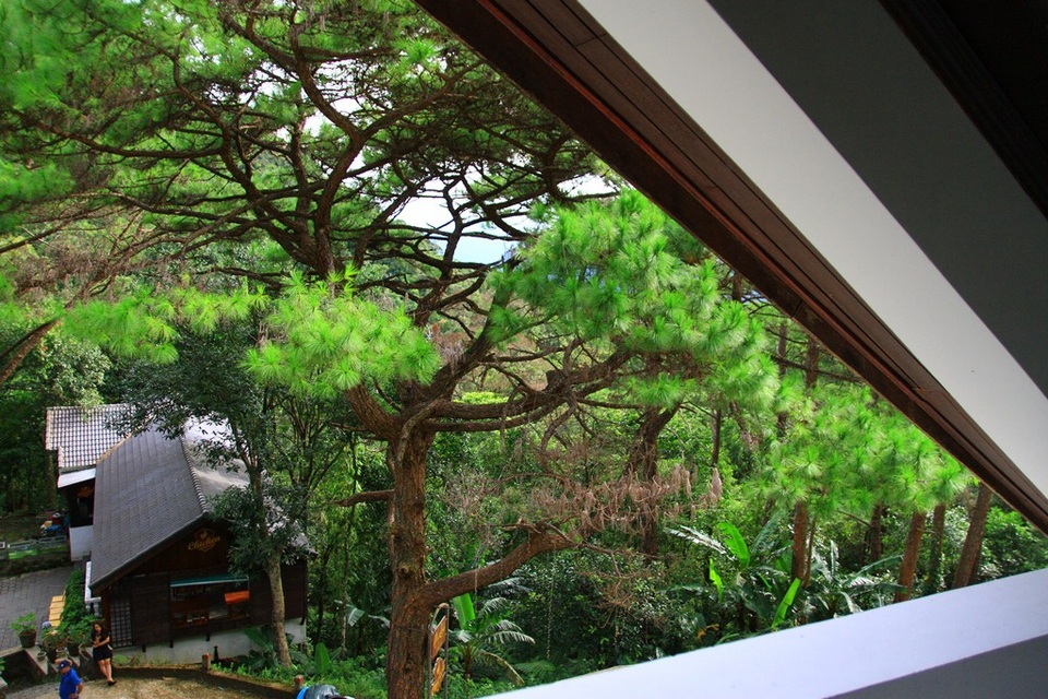Một thời ký ức biệt thự cổ Pháp và lối sống thượng lưu tại Bạch Mã - 14 Tầng mái của một biệt thự nhìn xuống bên dưới
