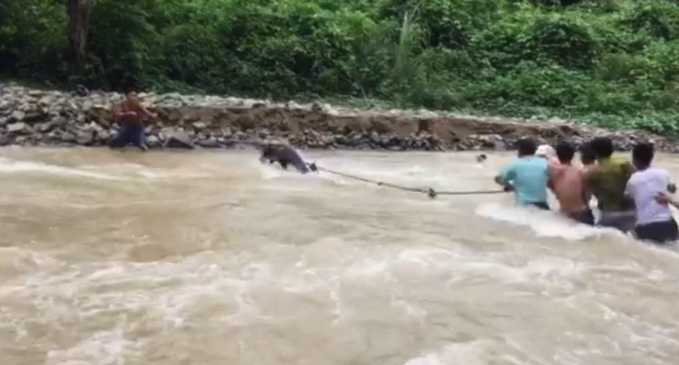 Hơn 300 người dân Khơ Mú bị cô lập trong nước lũ - 7 Dùng dây thừng kéo người là cách làm của người dân bản Na Lợt mỗi khi qua khe, khi nước lũ chưa dâng cao.