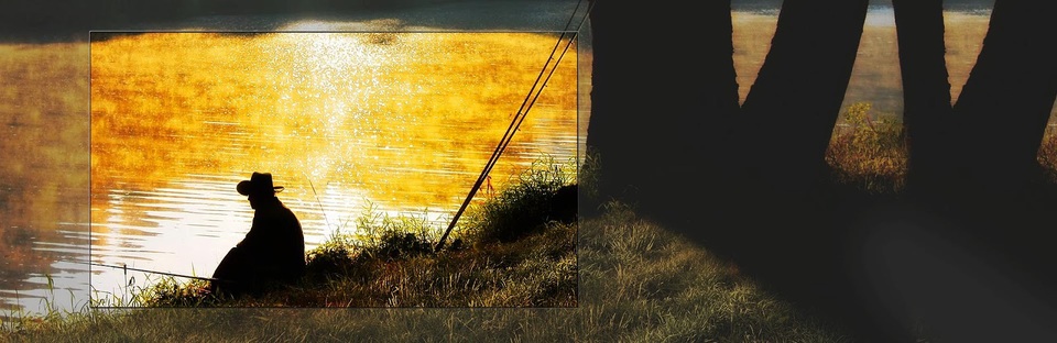 LG “thống trị” thị trường TV OLED toàn cầu - 3 LG “thống trị” thị trường TV OLED toàn cầu - 3