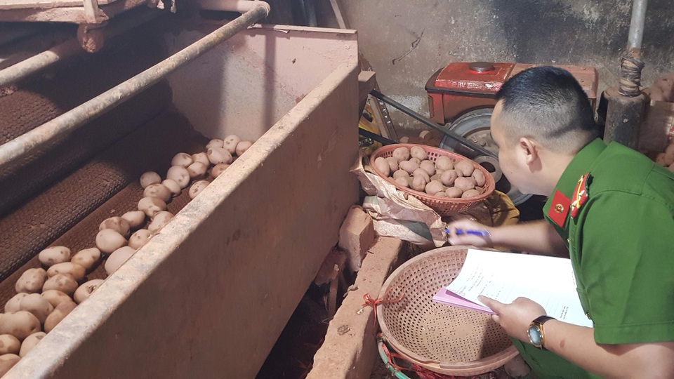 Lật mặt tiểu thương "phù phép" khoai tây Trung Quốc thành hàng Đà Lạt - 4 Lực lượng chức năng đang tiến hành lập biên bản để xử lý vụ việc