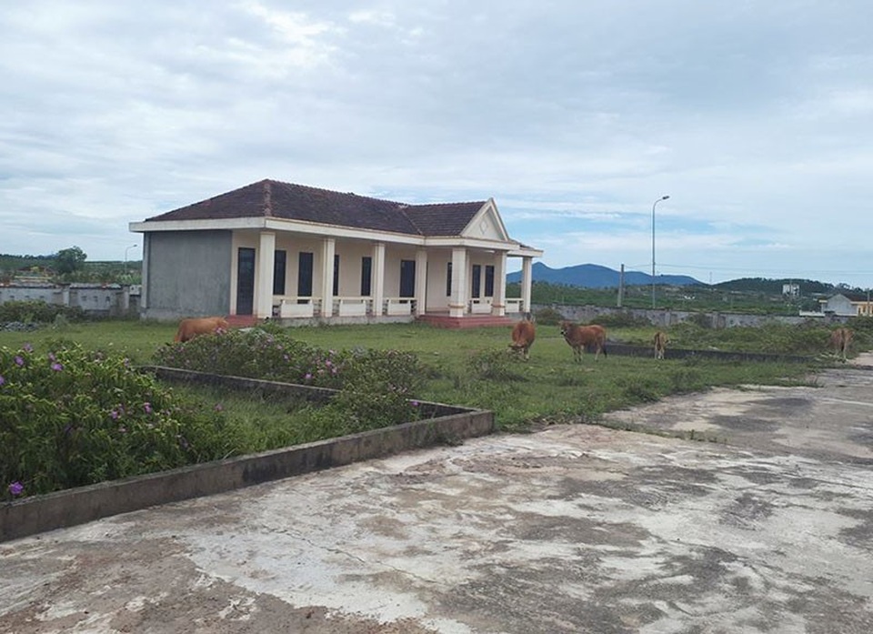 Cụm công trình 33 tỷ đồng “mục nát” sau 8 năm bỏ hoang - 5 Cụm công trình trở thành bãi chăn bò lý tưởng cho những người dân ở xung quanh.
