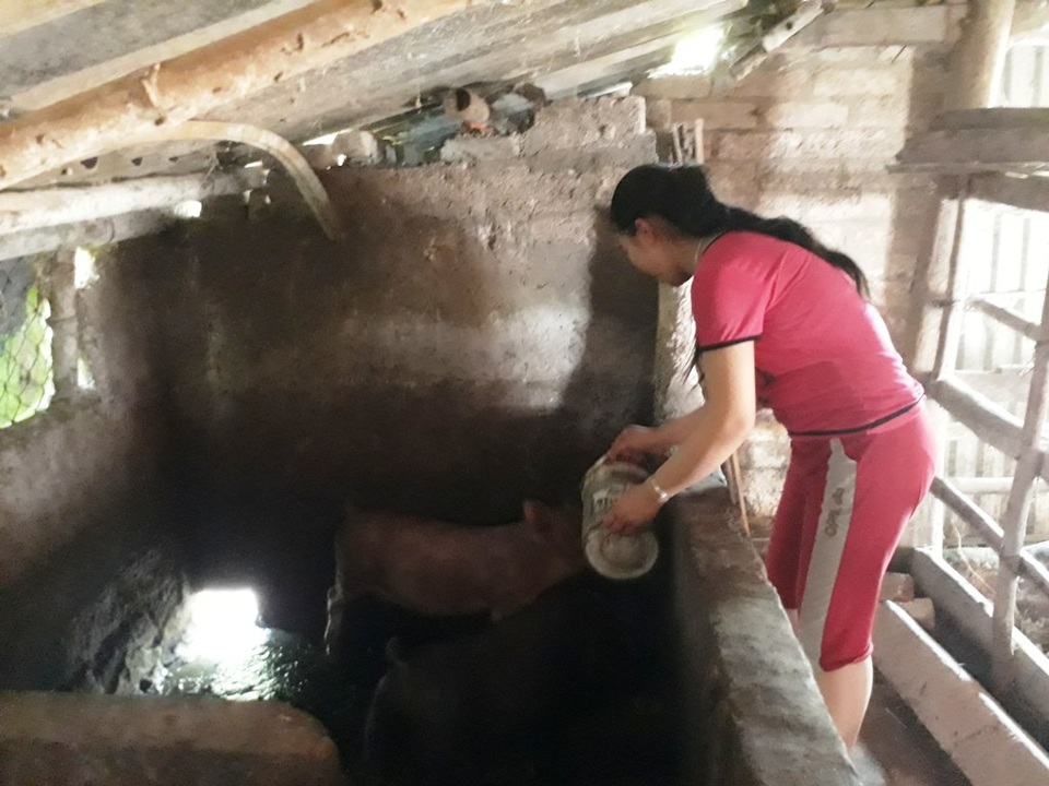 "Em không có bố rồi, xin hãy cứu mẹ em với !" - 4 Sau những giờ đến trường, trở về nhà Tú đều làm mọi việc từ chăm sóc bà, mẹ đến nấu cơm, cho lợn ăn...