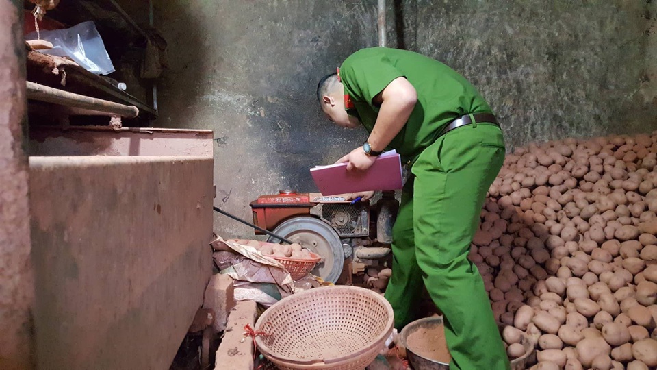 Phát hiện thêm 1 vụ “chế biến” khoai tây Trung Quốc thành hàng Đà Lạt - 3 Lực lượng công an đang kiểm tra số khoai tây đã được nhuộm đất đỏ và lập biên bản thu giữ tang vật