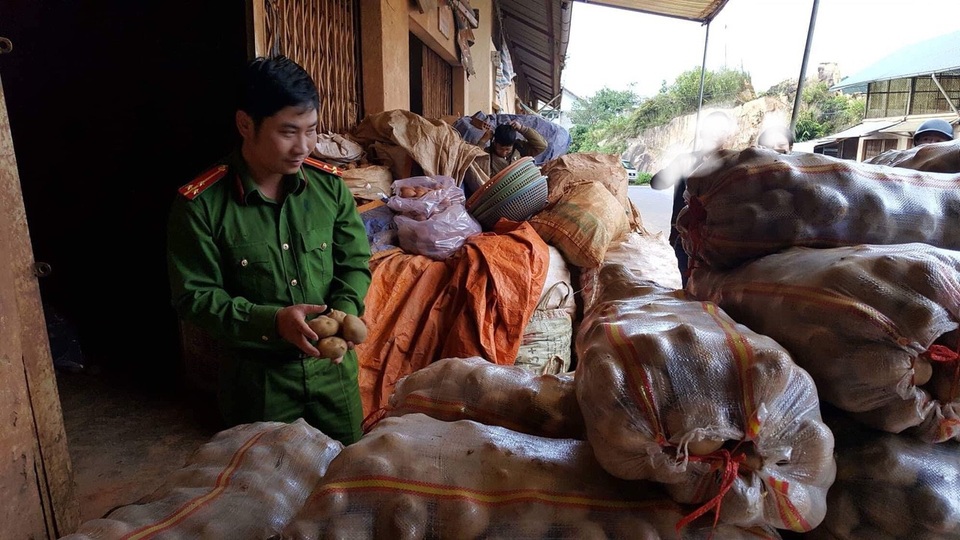 Phát hiện thêm 1 vụ “chế biến” khoai tây Trung Quốc thành hàng Đà Lạt - 1
Lực lượng chức năng TP Đà Lạt vừa phát hiện thêm 1 vụ trộn đất đỏ vào khoai tây Trung Quốc với số lượng lớn.