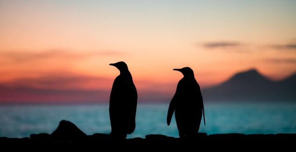 Những bức ảnh tuyệt đẹp và hoàng hôn và bình minh trên khắp thế giới - 13