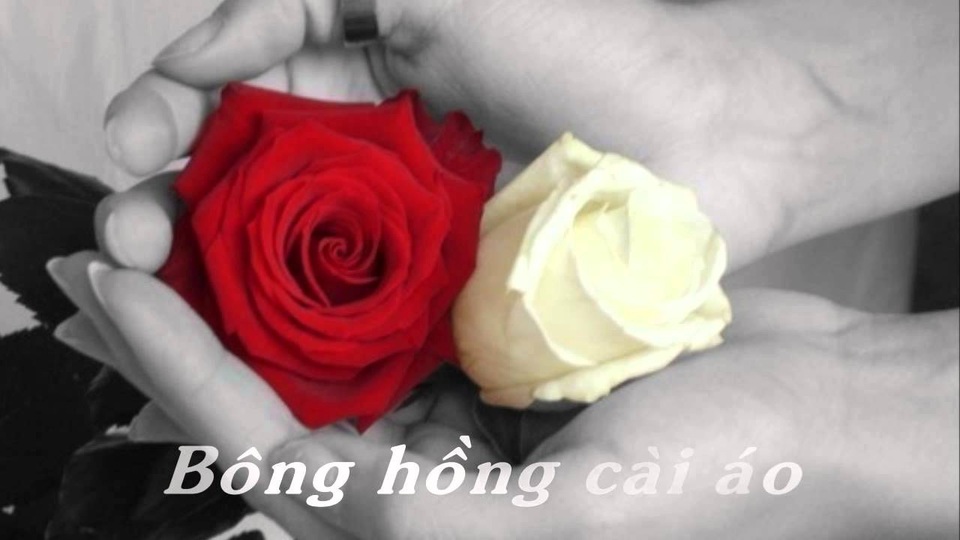 Chưa bao giờ hôn bố mẹ - giờ chẳng thể... - 3 Hãy thể hiện tình yêu với cha mẹ khi còn có thể (Ảnh minh họa)