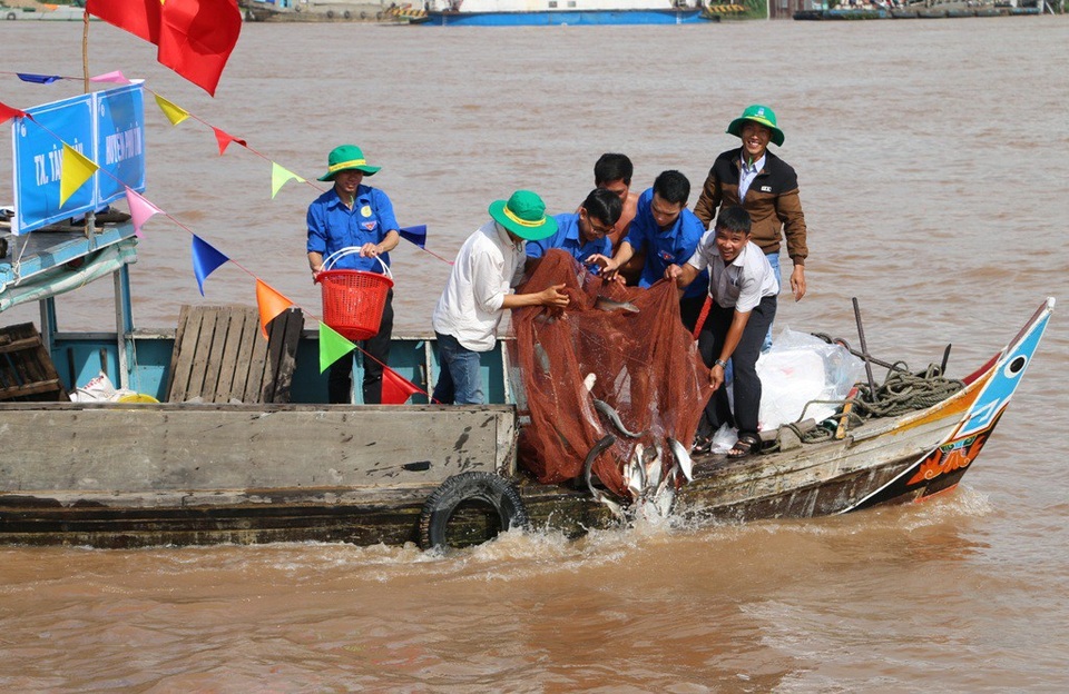 Thả hơn 7,6 tấn cá giống để tái tạo nguồn thủy sản - 1 Từ năm 2012, An Giang tổ chức thả cá về môi trường tự nhiên, góp phần tái tạo nguồn lợi thủy sản