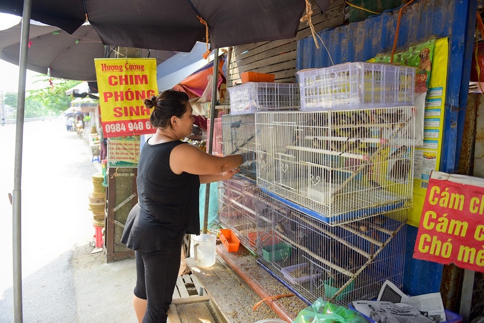 Nhộn nhịp chợ chim, cá phóng sinh dịp rằm tháng 7 - 4
Số lượng chim bán ra tăng đột biến, chị Hương, chủ một cửa hàng bán chim cảnh, cho biết.