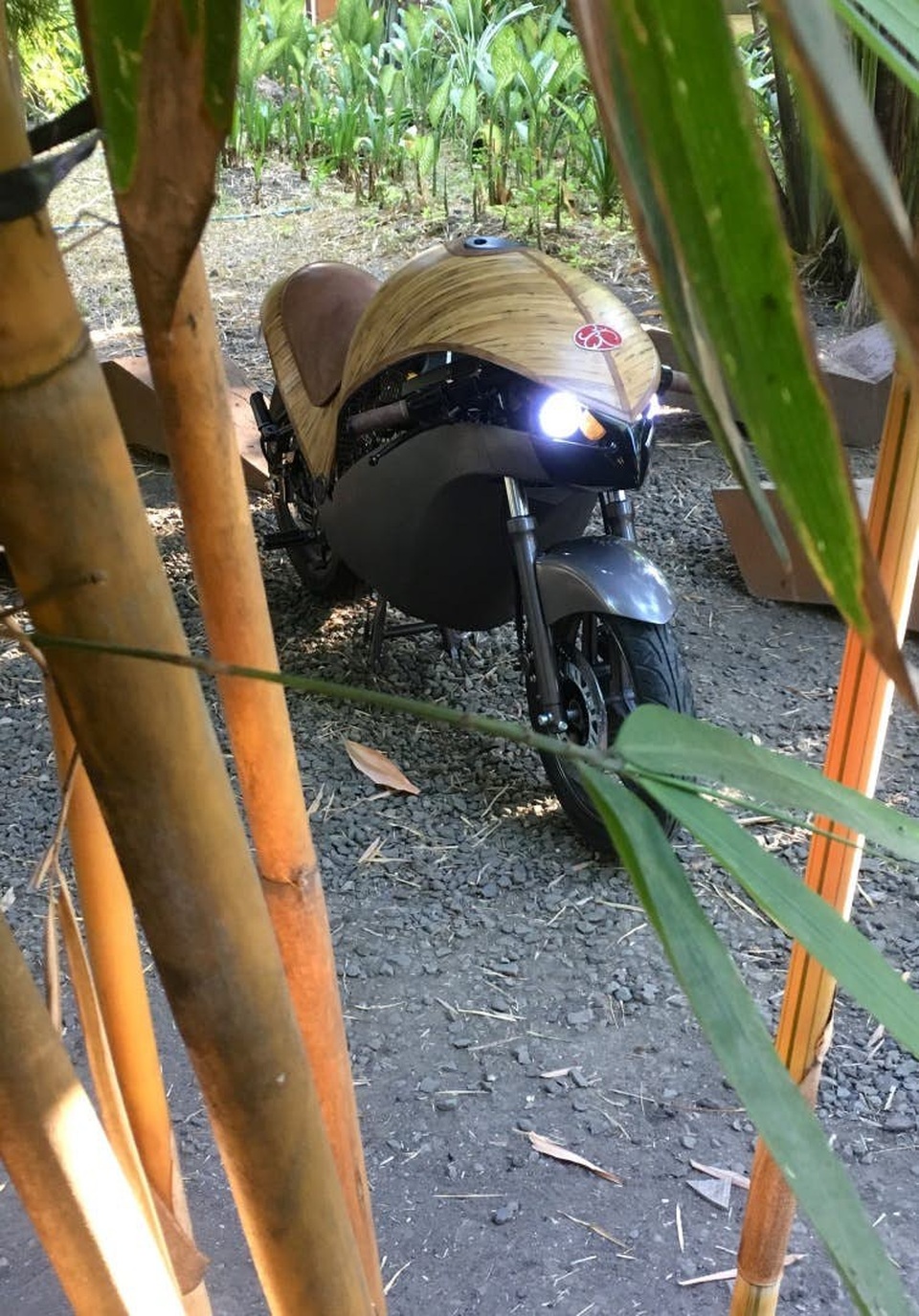 Độc đáo xe máy điện thân tre - 8