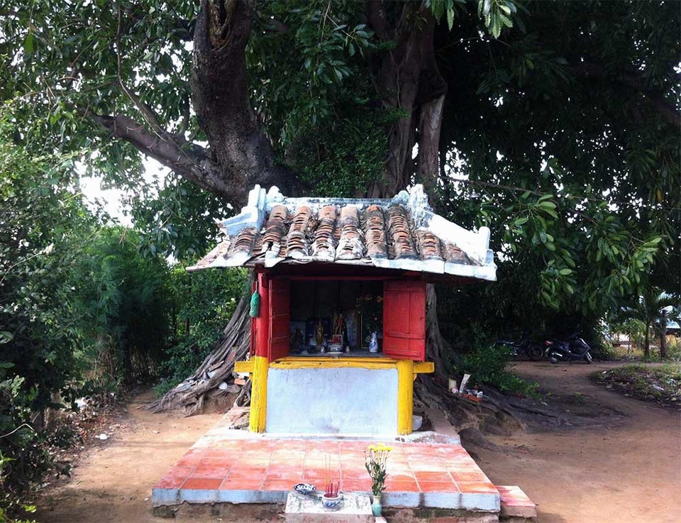 Ly kỳ cây sộp 300 tuổi và ngôi miếu cổ ở Phan Thiết - 6 Ngôi miếu cổ ở Phan Thiết