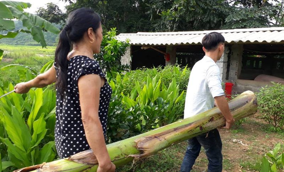 Họ hàng tụ họp tại gia đình thủ môn Bùi Tiến Dũng cổ vũ U23 Việt Nam - 2 Bà Phạm Thị Điều đang tất bật với việc thường ngày để chuẩn bị cổ vũ cho con trai và các đồng đội