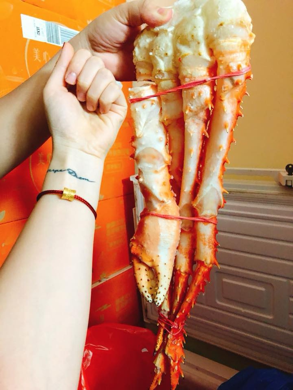 Cái chân cua dài nửa mét giá 4 triệu đồng: Hà thành ăn chơi, hưởng 1 lần cho sướng - 1
Chân cua Hoàng đế có chiều dài khoảng 40-50cm (ảnh: Khúc Ngọc Anh)
