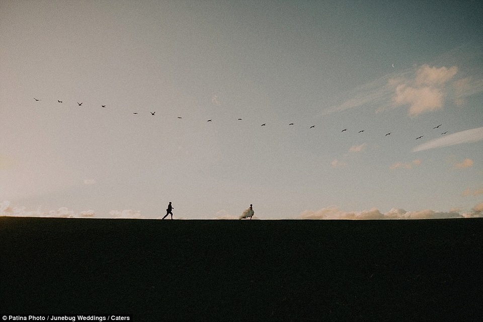 Martinborough, New Zealand.