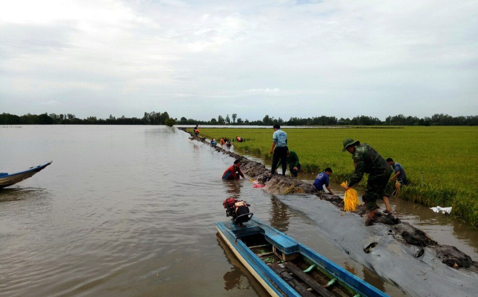 
Một tuyến bờ bao trên địa bàn xã Vĩnh Gia đang bị nước lũ uy hiếp
