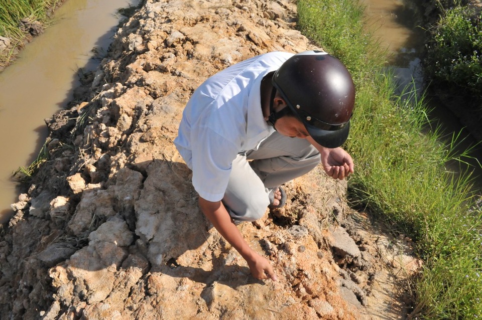 Một trong những nguyên nhân dẫn đến các tuyến bờ bao dễ bị vỡ là do nền đất yếu, đất pha cát...