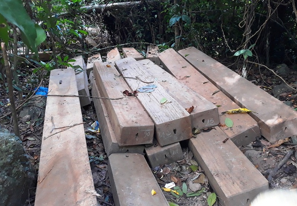 Kiểm điểm cán bộ, lãnh đạo để lâm tặc đốn hạ 23 cây dổi lâu năm - 3 Gỗ được xẻ thành hộp đang được tập kết vận chuyển ra khỏi rừng thì bị người dân phát hiện báo cho cơ quan chức năng.