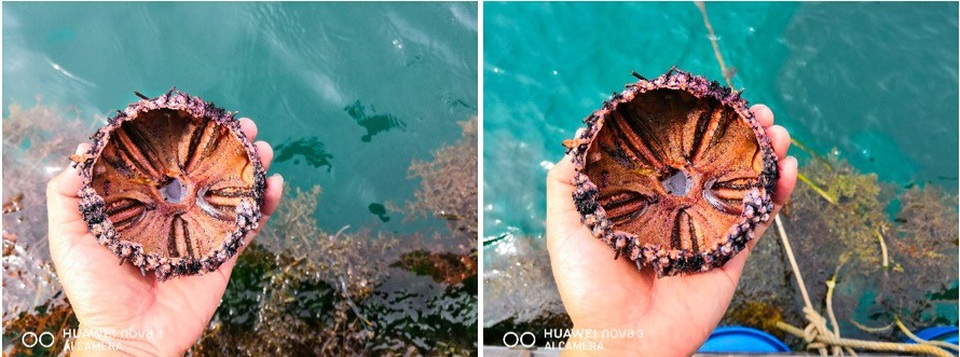 Có một Việt Nam đẹp tuyệt vời qua camera Huawei Nova 3 - 5 Có một Việt Nam đẹp tuyệt vời qua camera Huawei Nova 3 - 5