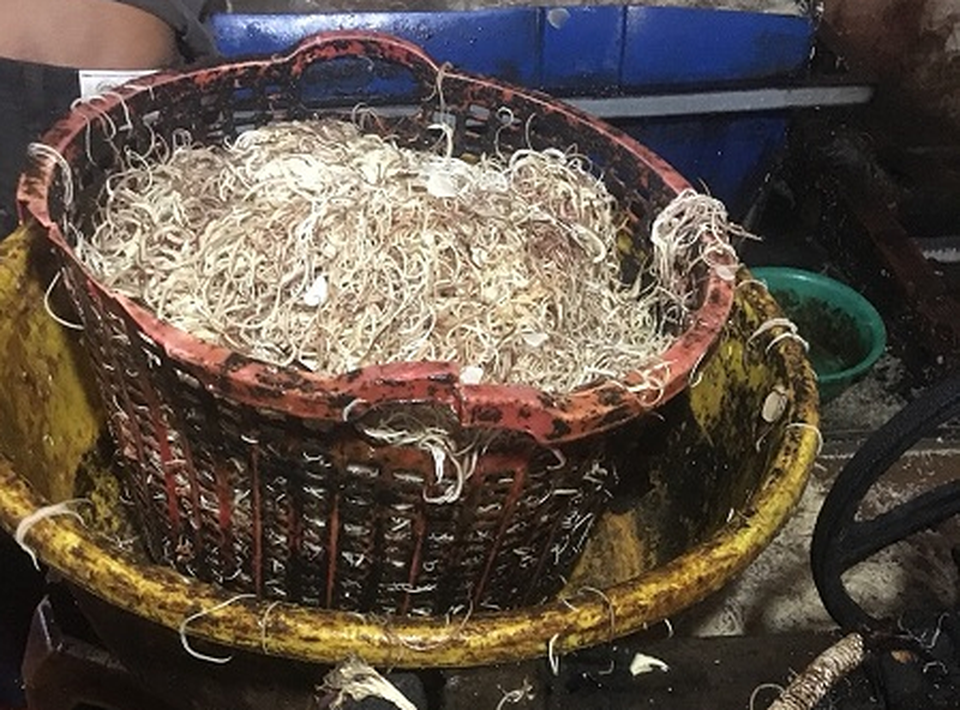 Phạt một cơ sở sản xuất bắp chuối bào ngâm hóa chất - 1 Bắp chuối bào ngâm hóa chất tại cơ sở bà Cầm. Ảnh: BAN QUẢN LÝ ATTP TP.HCM