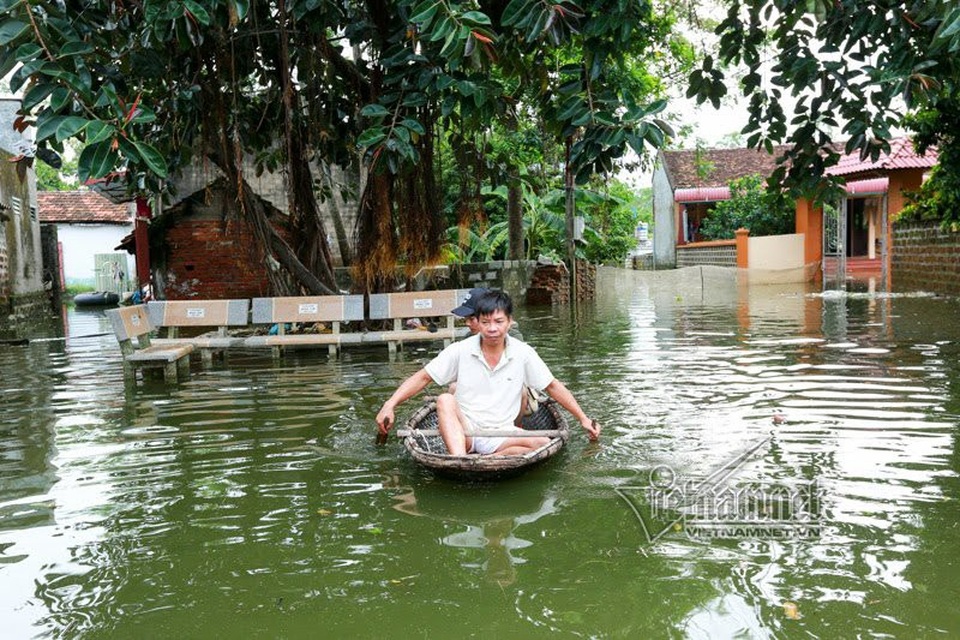 Vợ chồng ông chủ ngày ngày chèo thuyền thăm 100 con lợn đi lánh lũ - 3 Anh Nguyễn Tự Ba chèo thuyền đi thăm đàn lợn