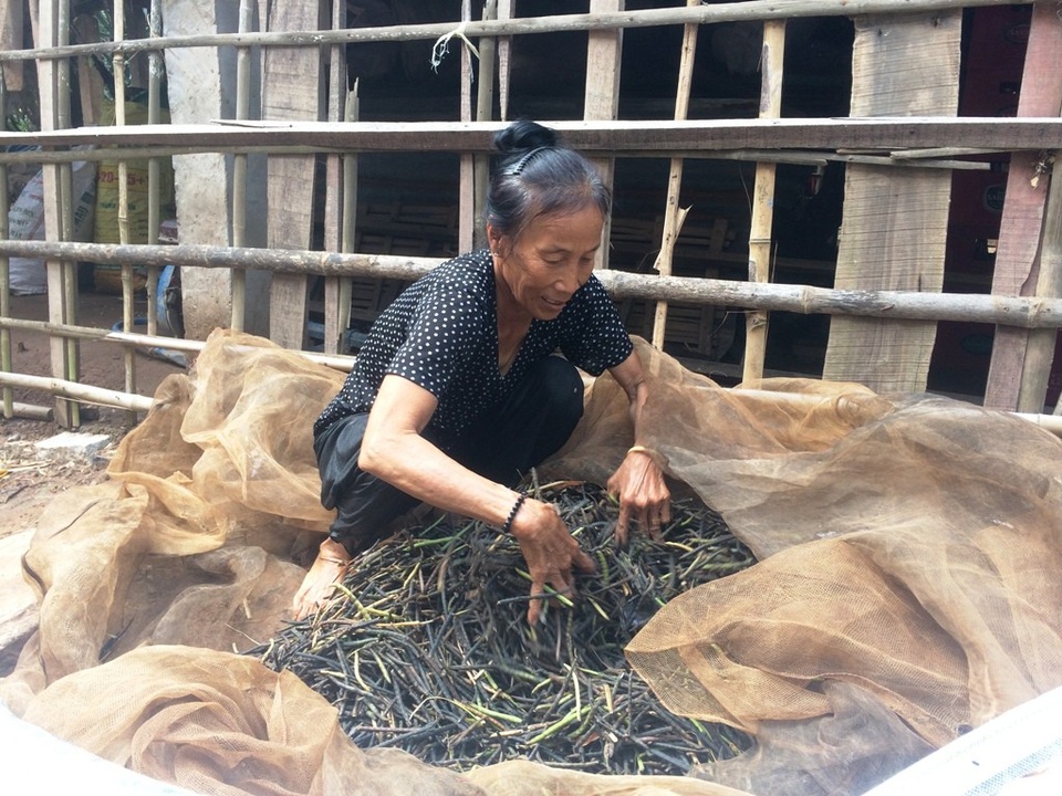 Nước lũ lên nhanh, dân trở tay không kịp - 2
Bà Nguyễn Thị Song cho biết, nước lũ lên bất ngờ đã làm bà mất trắng 1 ha lúa và mấy công đậu xanh.