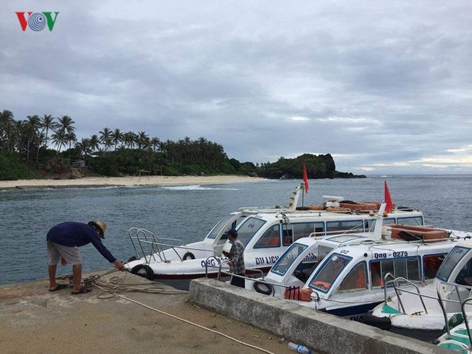 Biển đảo Lý Sơn - tuyến du ngoạn kỳ thú - 15