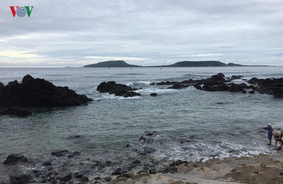 Biển đảo Lý Sơn - tuyến du ngoạn kỳ thú - 18