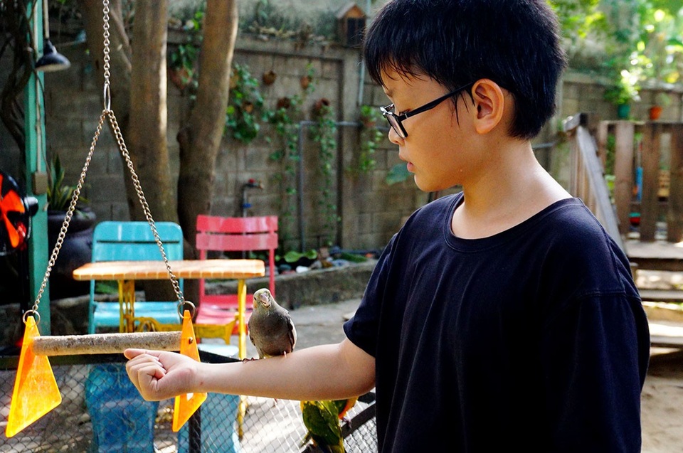 Cậu bé thích thú khi chú vẹt đứng trên tay.