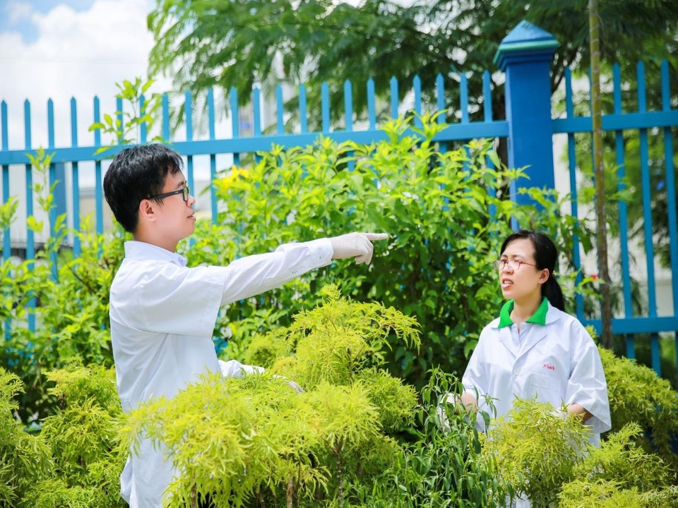 Những lưu ý không thể bỏ qua cho bệnh thiếu máu não - 1 Anh Trần Minh Thoan bên vườn thuốc của B-FACO