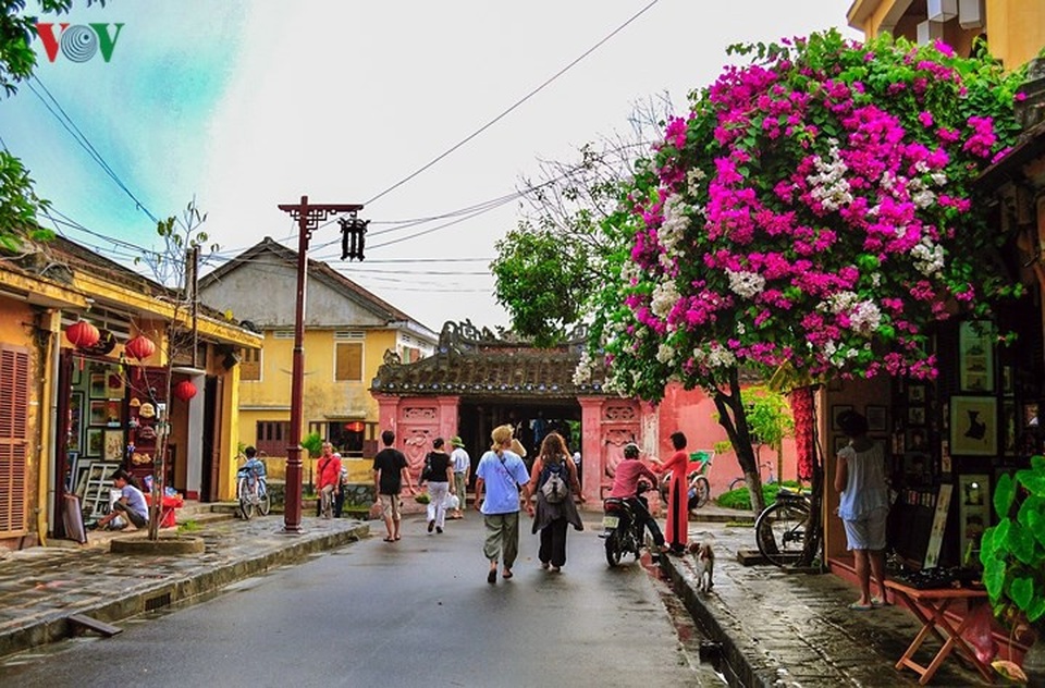 Những điểm đến đẹp nhất Việt Nam du khách đi theo từng tháng trong năm - 4