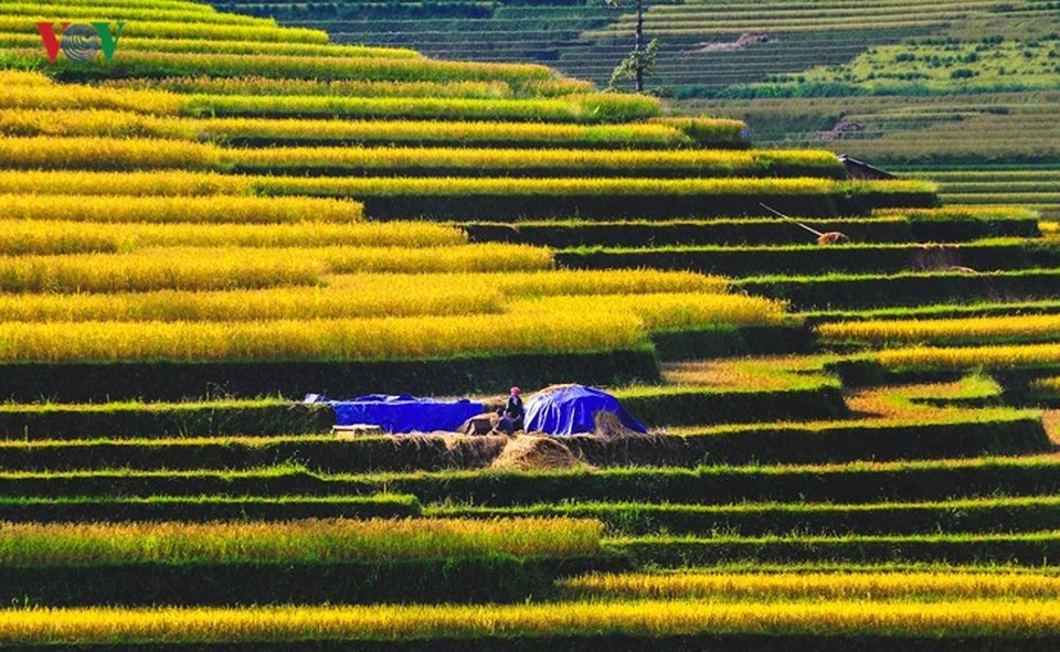 Những điểm đến đẹp nhất Việt Nam du khách đi theo từng tháng trong năm - 9