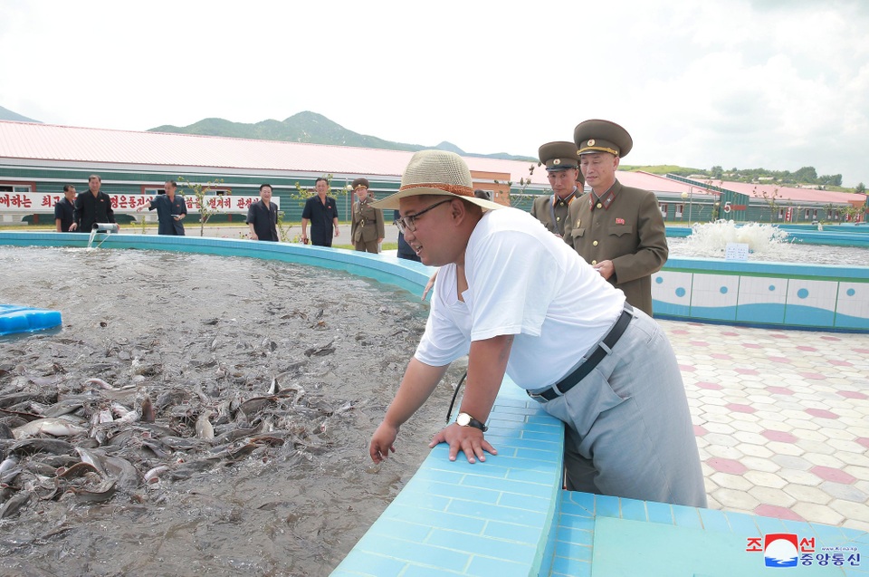 Phong cách thời trang hiếm thấy của ông Kim Jong-un - 1 Báo Rodong Sinmun, cơ quan ngôn luận của đảng Lao động Triều Tiên, ngày 8/8 đưa tin nhà lãnh đạo Kim Jong-un gần đây đã tới thăm một cơ sở sản xuất cá ngâm do quân đội Triều Tiên vận hành ở Kumsanpo, tỉnh Nam Hwanghae.