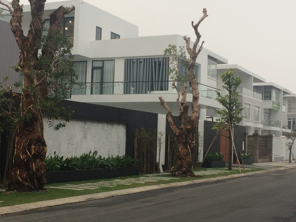 Hành lang bên hong nhà, chủ nhà cũng tận dụng hết để trồng cây cổ thụ