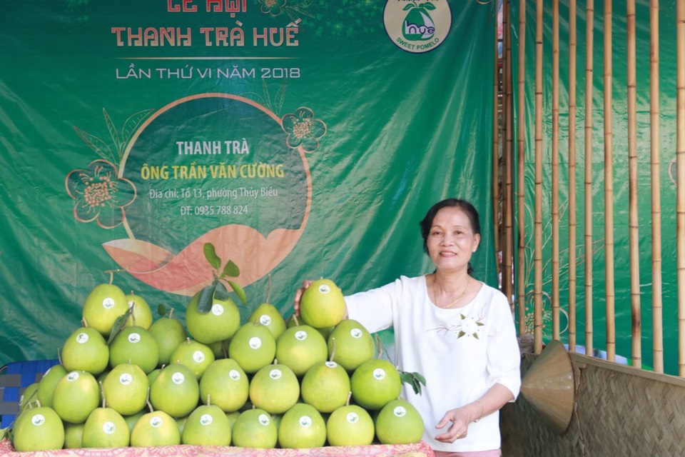 Nhộn nhịp ngày hội quả thanh trà Huế - 2 Những trái thanh được quy tụ từ các địa phương khác nhau mang những hương vị đặc trưng riêng của từng vùng