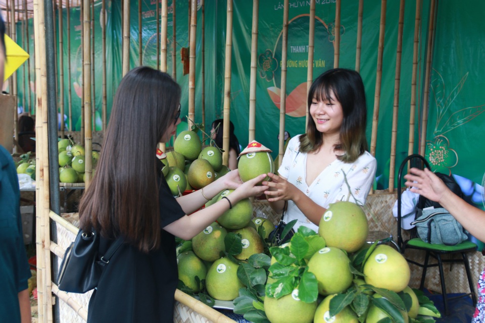 Nhộn nhịp ngày hội quả thanh trà Huế - 3 Du khách lựa chọn và mua những trái thanh trà thơm, ngon mang về