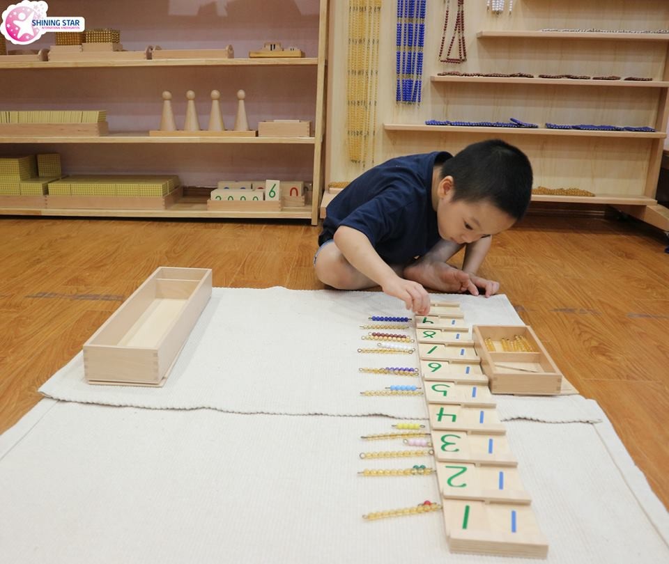 Giáo dục Montessori: Để trẻ tự dẫn đường - 1
Montessori xây dựng nền tảng cơ bản cho trẻ từ 0 - 6 tuổi, giai đoạn trẻ có sự phát triển nhanh về não bộ, khả năng tiếp thu và học hỏi kiến thức mạnh nhất.