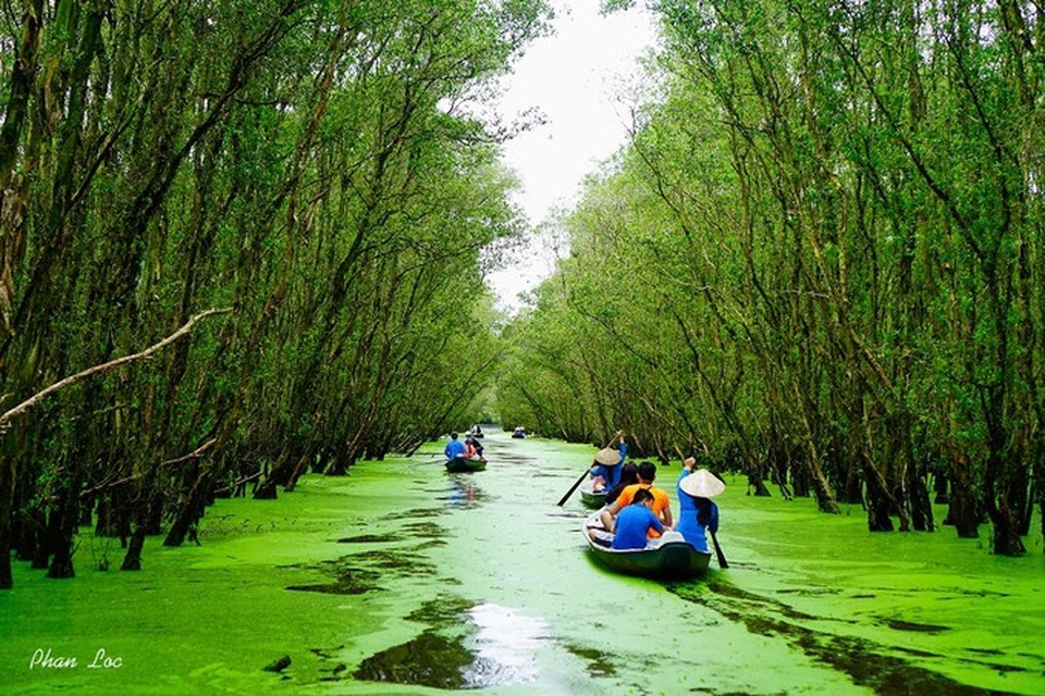 Những trải nghiệm không thể bỏ lỡ khi ghé miền Tây vào mùa nước nổi - 1 Rừng tràm Trà Sư điểm đến không nên bỏ lỡ vào mùa nước nổi. Ảnh: Phan Bách Lộc