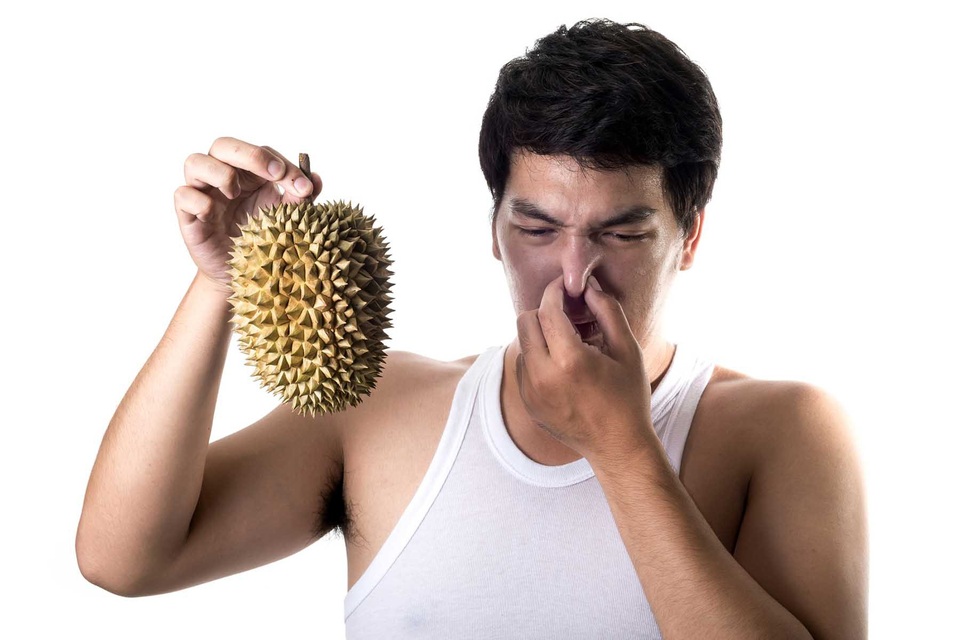 Bật cười trước phản ứng ngộ nghĩnh của chú khỉ khi ngửi thấy mùi sầu riêng - 3 Nhiều người lại không chịu được thứ mùi đặc trưng của loại trái cây này